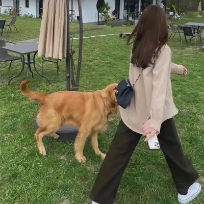 好运来临