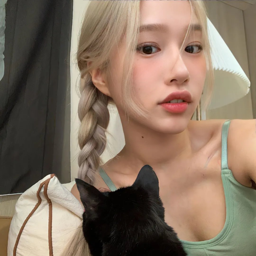 单身即地狱第三季